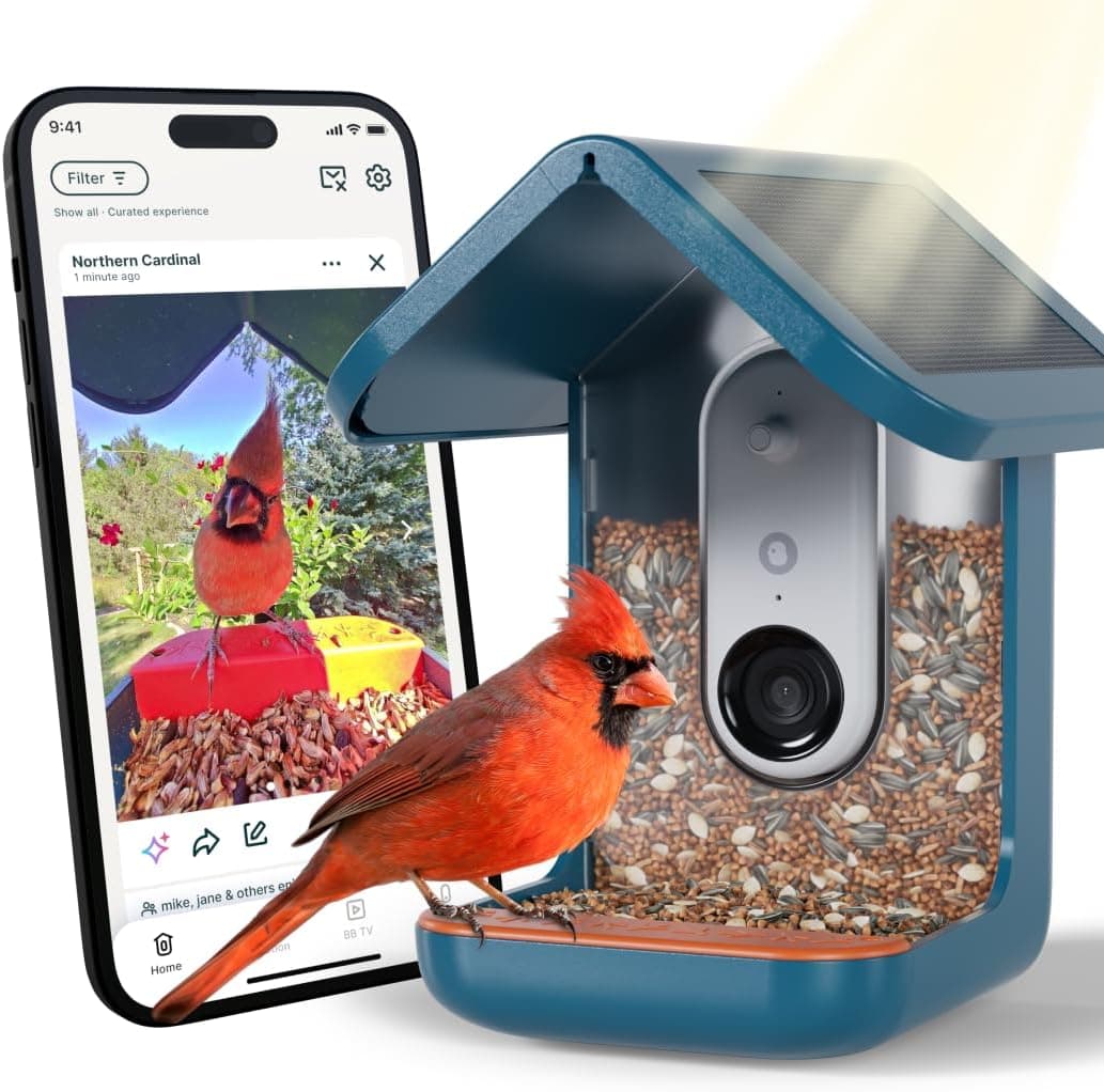Bird Buddy Pro Solar Smart Bird Feeder with Camera - Product image