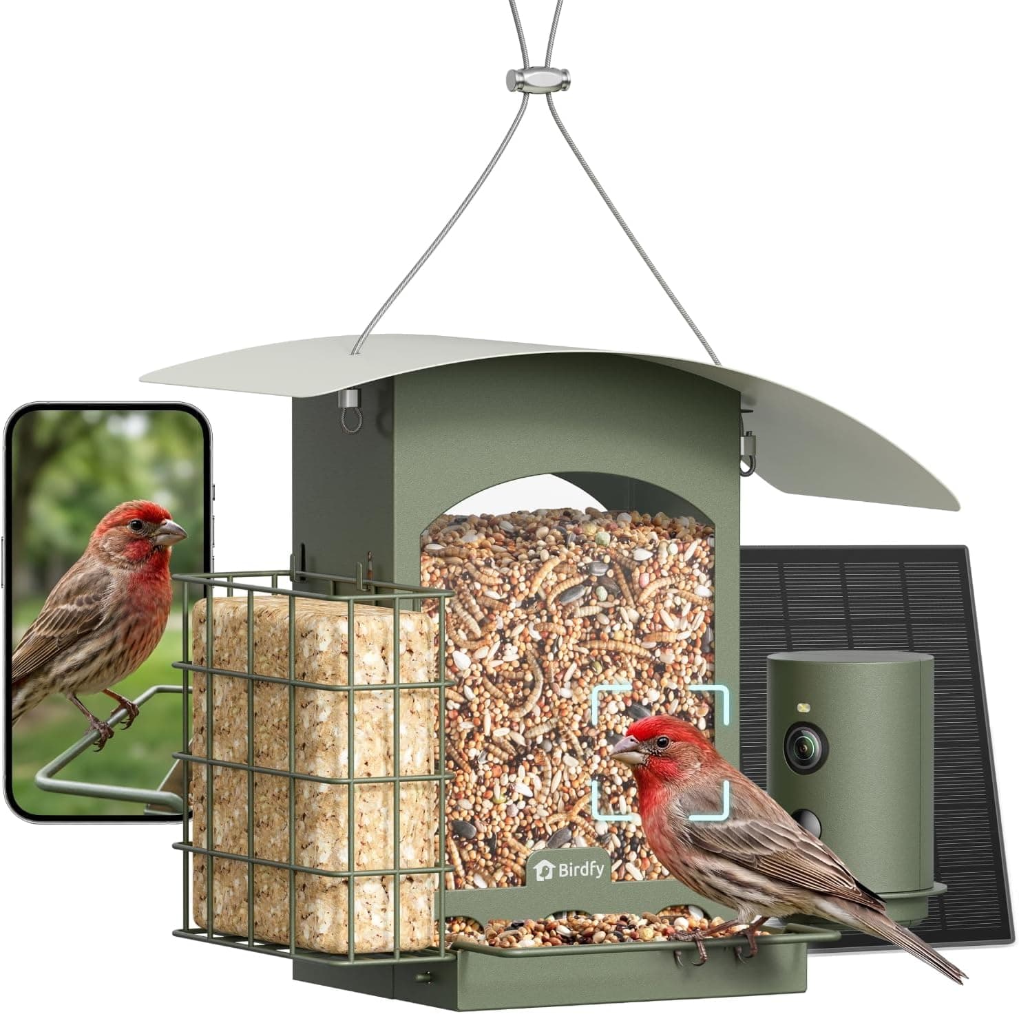 Birdfy Smart Bird Feeder 1080P Metal Hanging Solar - Product image