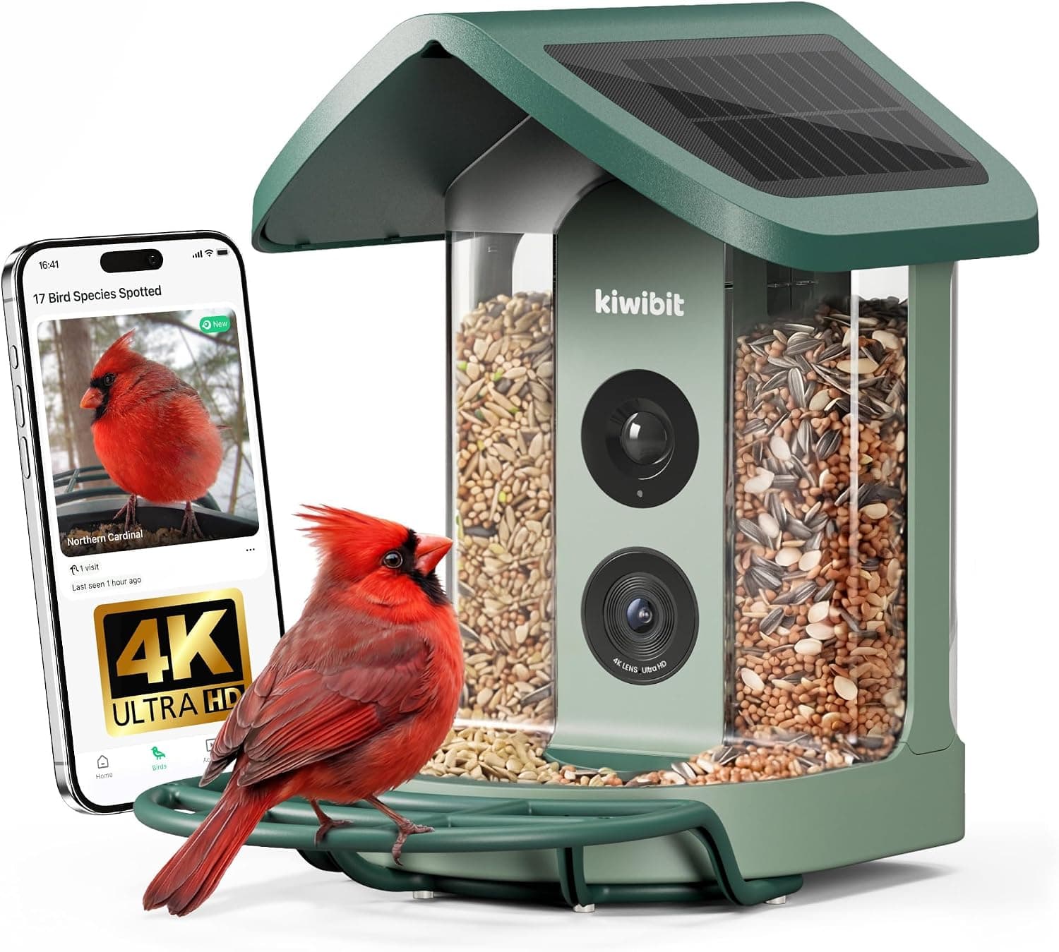 Kiwibit Solar Smart Bird Feeder with 4K Camera - Product image